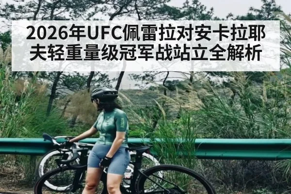 2026年UFC佩雷拉对安卡拉耶夫轻重量级冠军战站立全解析